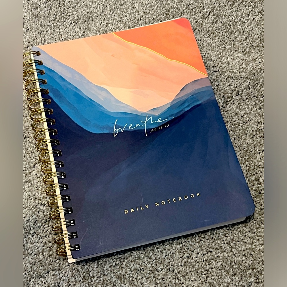 Fringe Studio Blue and Pink Daily Notebook